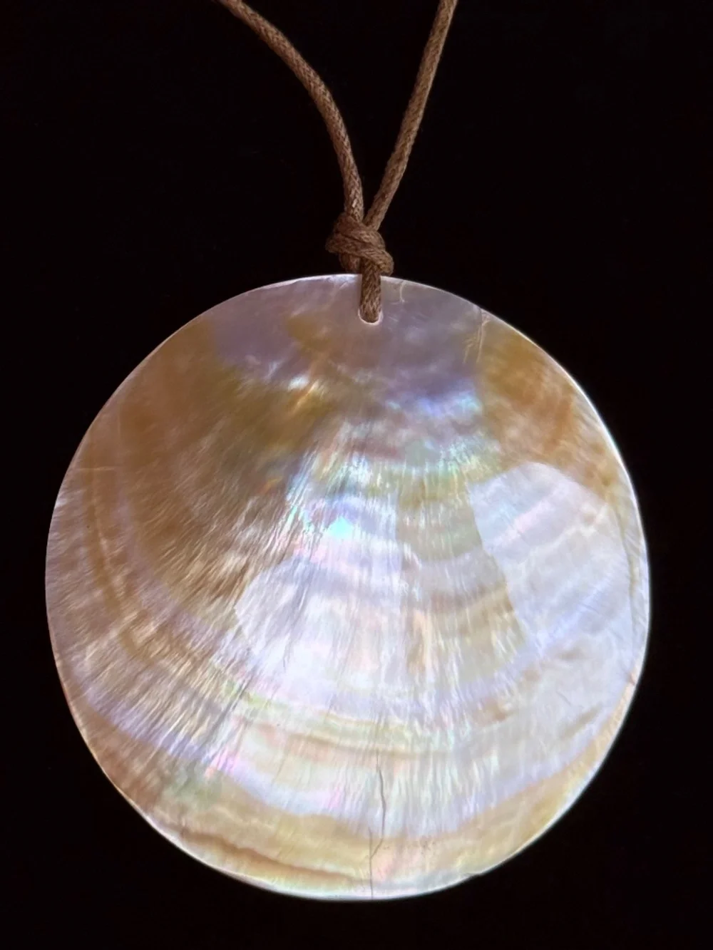 Shell Necklace - Picture 2 of 3